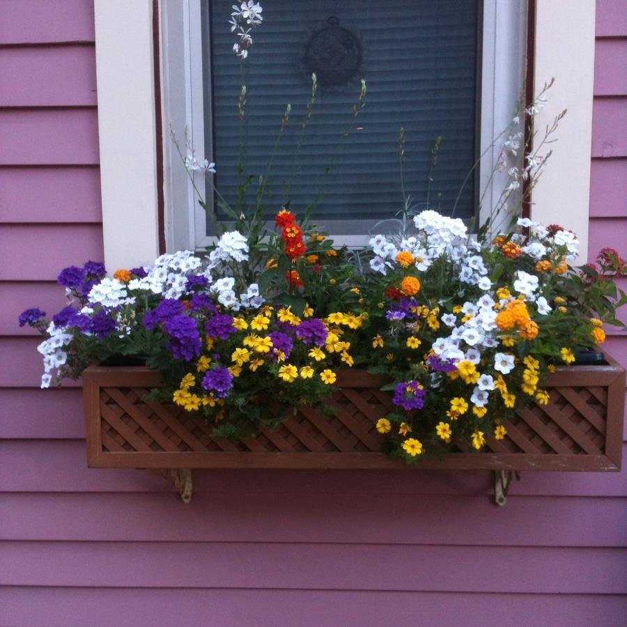 Rose & Thistle Bed & Breakfast Cooperstown Dış mekan fotoğraf