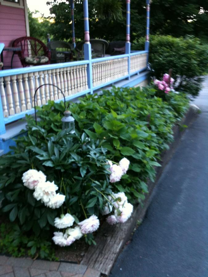 Rose & Thistle Bed & Breakfast Cooperstown Dış mekan fotoğraf